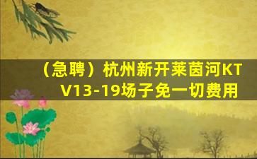 金昌酒吧招聘